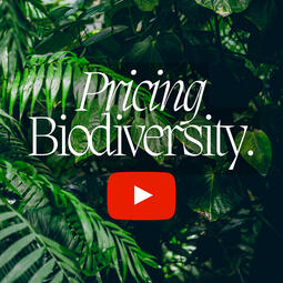 Biodiversity as an Asset Class: Pricing Biodiversity | World Economic Forum, YouTube