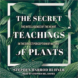The Secret Teachings of Plants: The Intelligence of the Heart in the Direct Perception of Nature | by Stephen Harrod Buhner